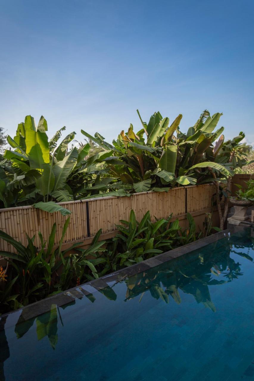 Umah Tikari Guesthouse Canggu Zewnętrze zdjęcie