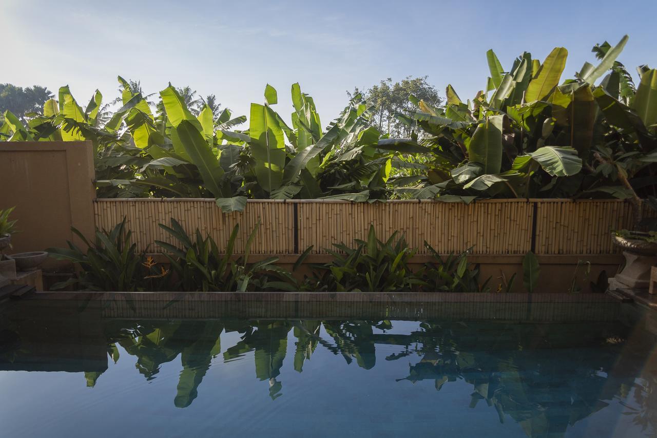Umah Tikari Guesthouse Canggu Zewnętrze zdjęcie