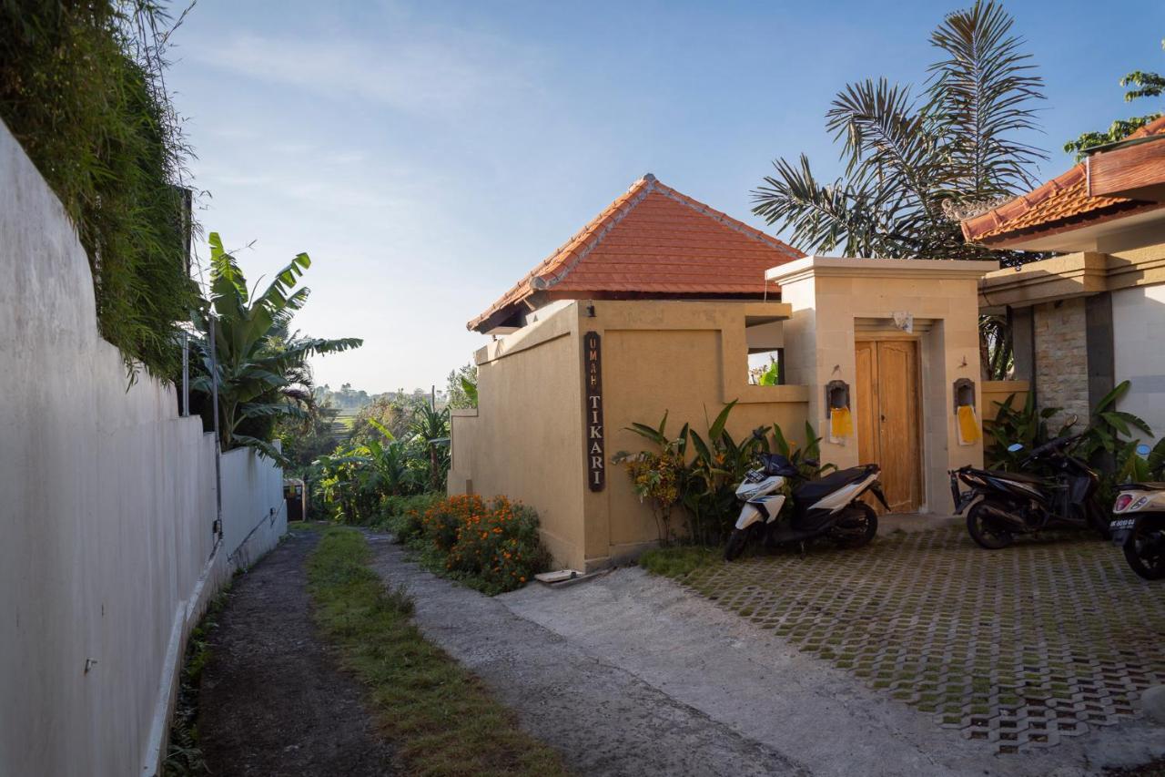 Umah Tikari Guesthouse Canggu Zewnętrze zdjęcie